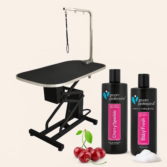 Picture of Helios Hydraulic Grooming Table + 2 Free Groom Professional